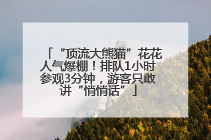 “顶流大熊猫”花花人气爆棚！排队1小时参观3分钟，游客只敢讲“悄悄话”
