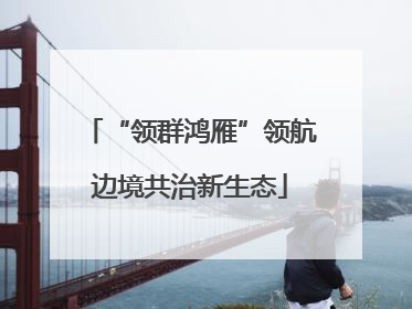 “领群鸿雁”领航边境共治新生态