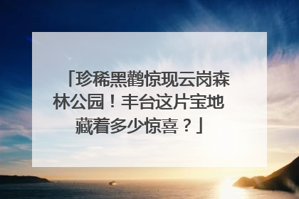珍稀黑鹳惊现云岗森林公园！丰台这片宝地藏着多少惊喜？