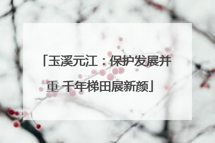玉溪元江：保护发展并重 千年梯田展新颜