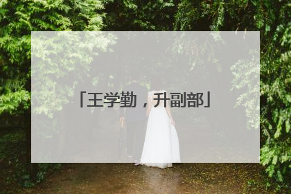 王学勤，升副部
