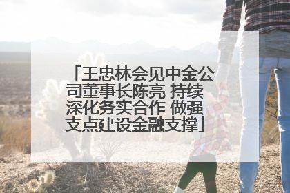王忠林会见中金公司董事长陈亮 持续深化务实合作 做强支点建设金融支撑