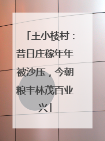 王小楼村：昔日庄稼年年被沙压，今朝粮丰林茂百业兴