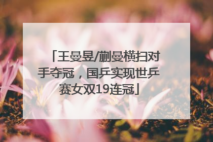 王曼昱/蒯曼横扫对手夺冠，国乒实现世乒赛女双19连冠