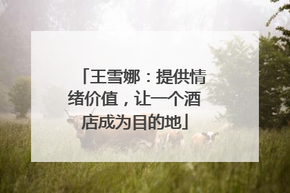 王雪娜：提供情绪价值，让一个酒店成为目的地