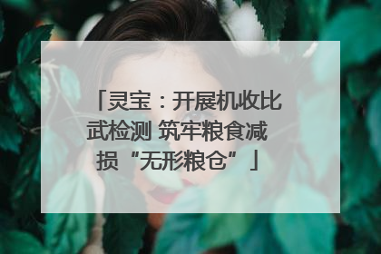 灵宝：开展机收比武检测 筑牢粮食减损“无形粮仓”