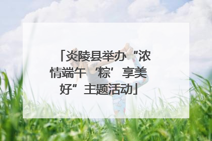 炎陵县举办“浓情端午‘粽’享美好”主题活动
