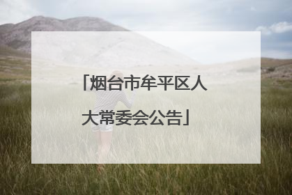 烟台市牟平区人大常委会公告
