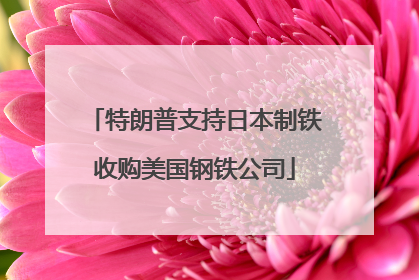 特朗普支持日本制铁收购美国钢铁公司