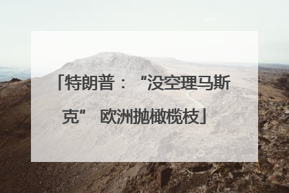 特朗普：“没空理马斯克” 欧洲抛橄榄枝