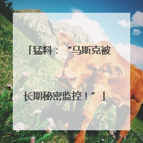 猛料：“马斯克被长期秘密监控！”