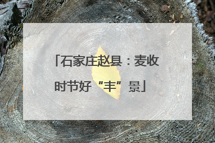 石家庄赵县：麦收时节好“丰”景