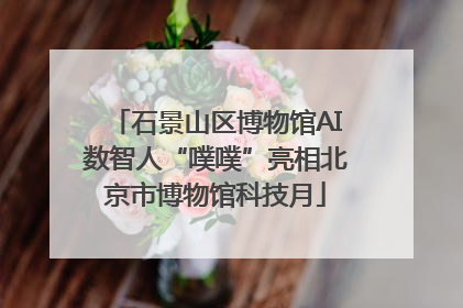 石景山区博物馆AI数智人“噗噗”亮相北京市博物馆科技月