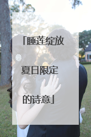 睡莲绽放 夏日限定的诗意