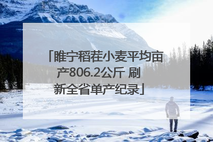 睢宁稻茬小麦平均亩产806.2公斤 刷新全省单产纪录