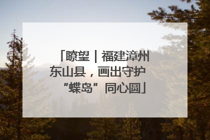瞭望｜福建漳州东山县，画出守护“蝶岛”同心圆