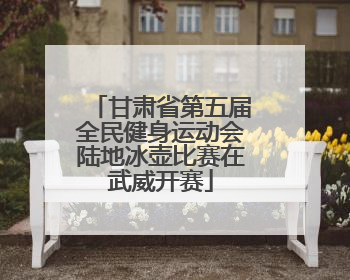 甘肃省第五届全民健身运动会陆地冰壶比赛在武威开赛