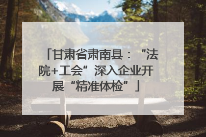 甘肃省肃南县：“法院+工会”深入企业开展“精准体检”