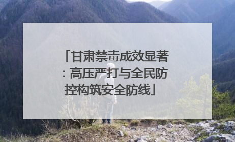 甘肃禁毒成效显著：高压严打与全民防控构筑安全防线