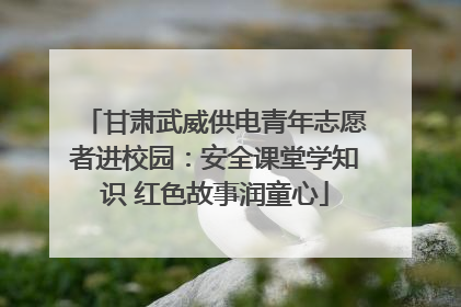 甘肃武威供电青年志愿者进校园：安全课堂学知识 红色故事润童心
