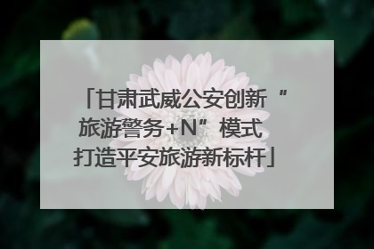 甘肃武威公安创新“旅游警务+N”模式 打造平安旅游新标杆