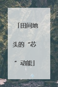 田间地头的“芯”动能