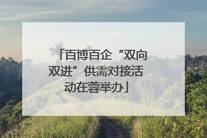 百博百企“双向双进”供需对接活动在蓉举办