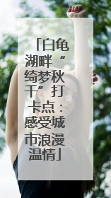 白龟湖畔“绮梦秋千”打卡点:感受城市浪漫温情