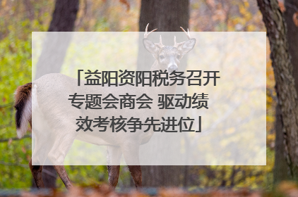 益阳资阳税务召开专题会商会 驱动绩效考核争先进位