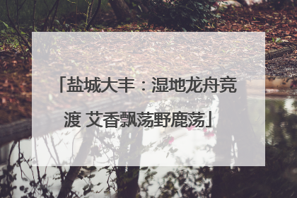 盐城大丰：湿地龙舟竞渡 艾香飘荡野鹿荡
