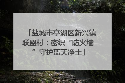 盐城市亭湖区新兴镇联盟村：密织“防火墙”守护蓝天净土