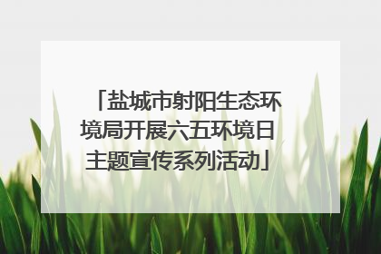 盐城市射阳生态环境局开展六五环境日主题宣传系列活动