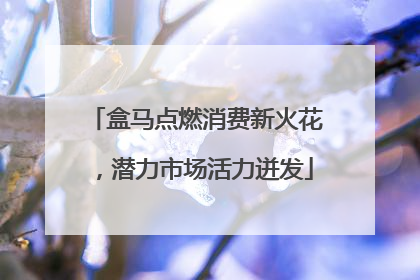 盒马点燃消费新火花，潜力市场活力迸发