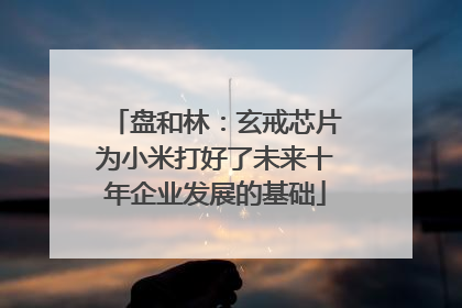盘和林：玄戒芯片为小米打好了未来十年企业发展的基础