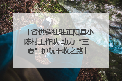 省供销社驻正阳县小陈村工作队 助力“三夏”护航丰收之路