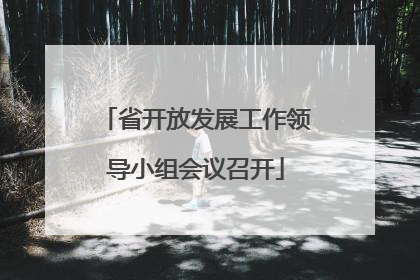 省开放发展工作领导小组会议召开