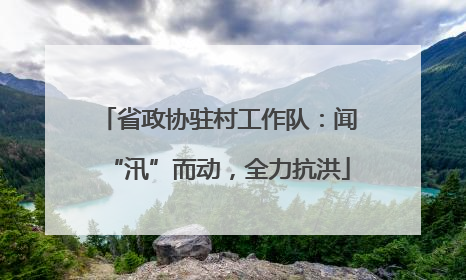 省政协驻村工作队：闻“汛”而动，全力抗洪