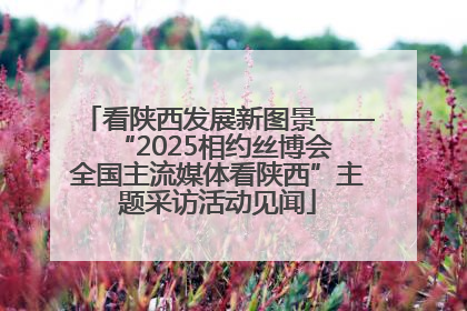 看陕西发展新图景——“2025相约丝博会 全国主流媒体看陕西”主题采访活动见闻