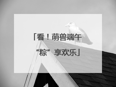 看！萌兽端午“粽”享欢乐