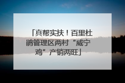 真帮实扶！百里杜鹃管理区两村“威宁鸡”产销两旺