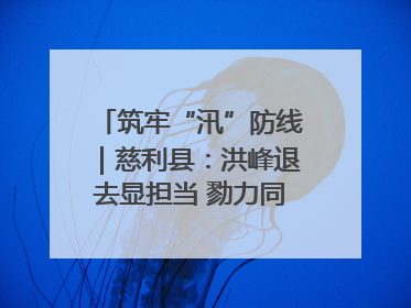 筑牢“汛”防线｜慈利县：洪峰退去显担当 勠力同心启新篇
