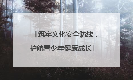 筑牢文化安全防线，护航青少年健康成长
