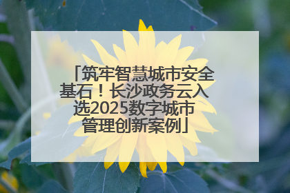 筑牢智慧城市安全基石！长沙政务云入选2025数字城市管理创新案例