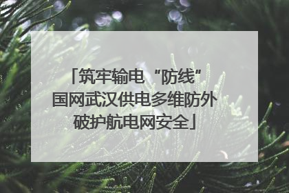 筑牢输电“防线” 国网武汉供电多维防外破护航电网安全