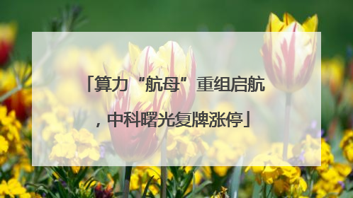 算力“航母”重组启航，中科曙光复牌涨停