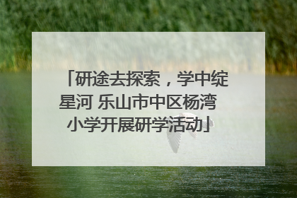 研途去探索，学中绽星河 乐山市中区杨湾小学开展研学活动