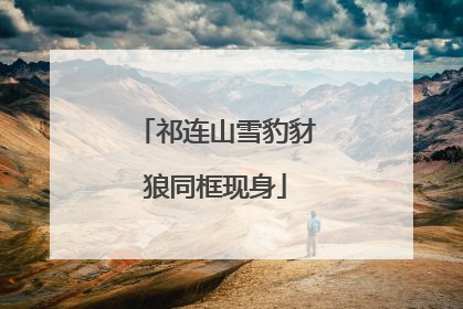 祁连山雪豹豺狼同框现身