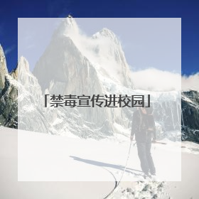 禁毒宣传进校园
