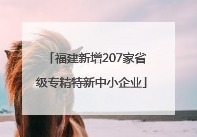 福建新增207家省级专精特新中小企业