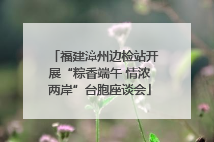 福建漳州边检站开展“粽香端午 情浓两岸”台胞座谈会